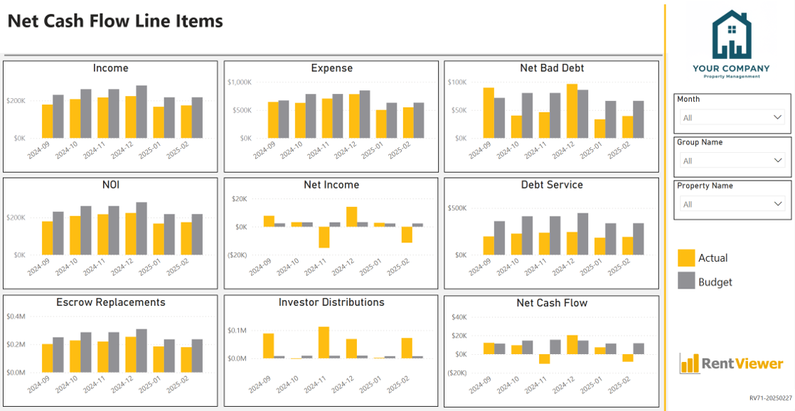 RV71 - Net Cash Flow Line Items